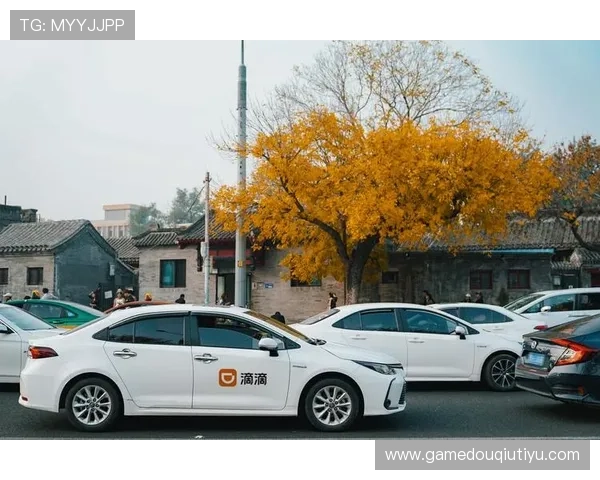 斗球体育直播官网客服如何处理投诉与建议，保障用户权益与优质服务体验